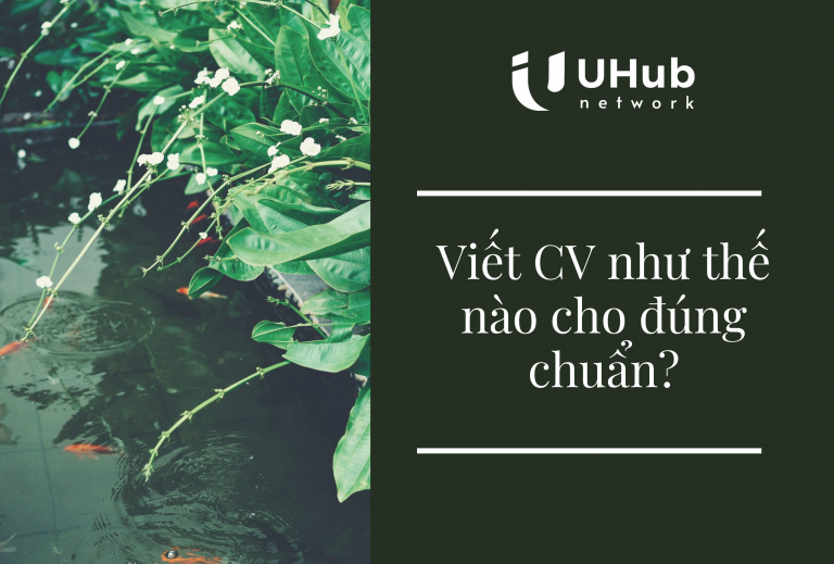 Viết CV như thế nào cho đúng chuẩn ?